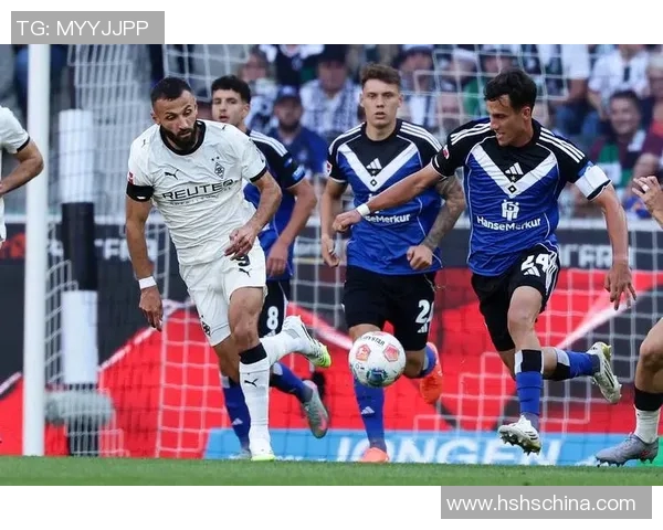 汉堡队冲刺德甲榜首，全力以赴争取更高排名！